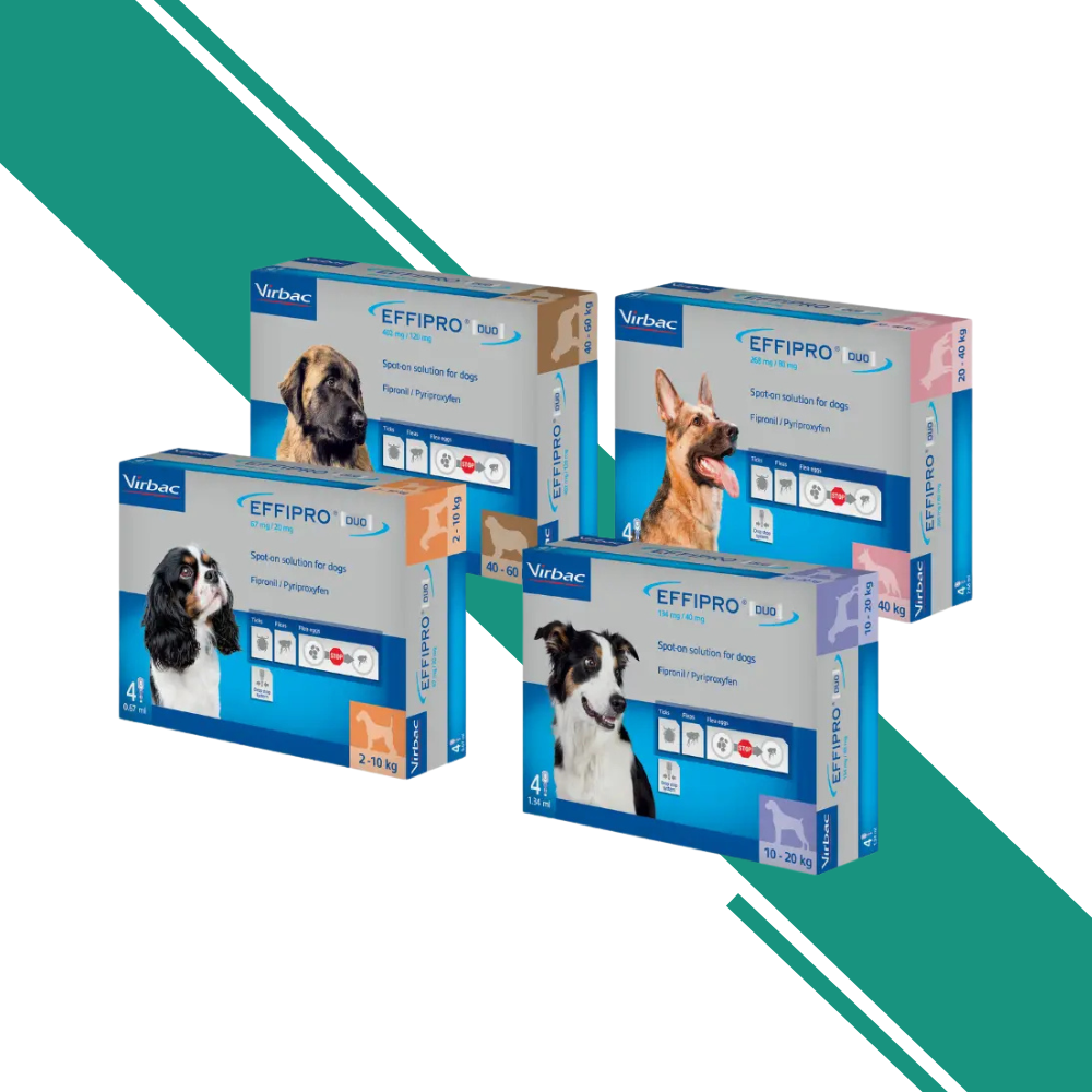 Effipro Spot-On Flea Control for Dogs
